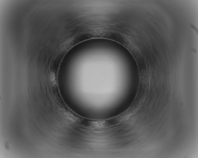 X0000098130089200804241700