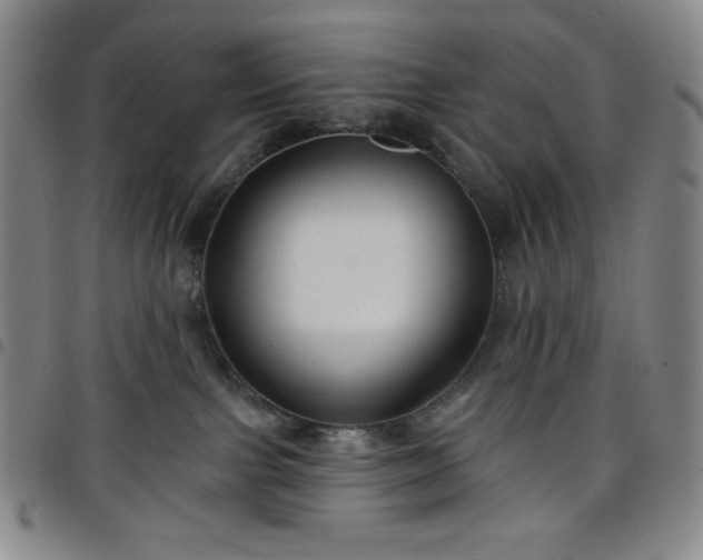 X0000098130091200804241700