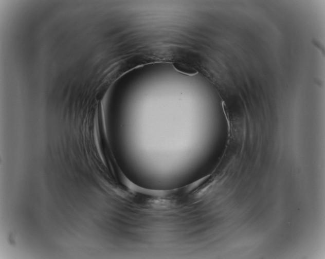 X0000098130092200804241700