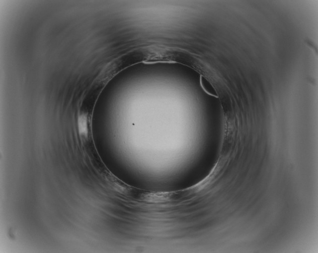X0000098130094200804241700