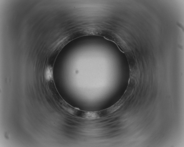 X0000098130095200804241700