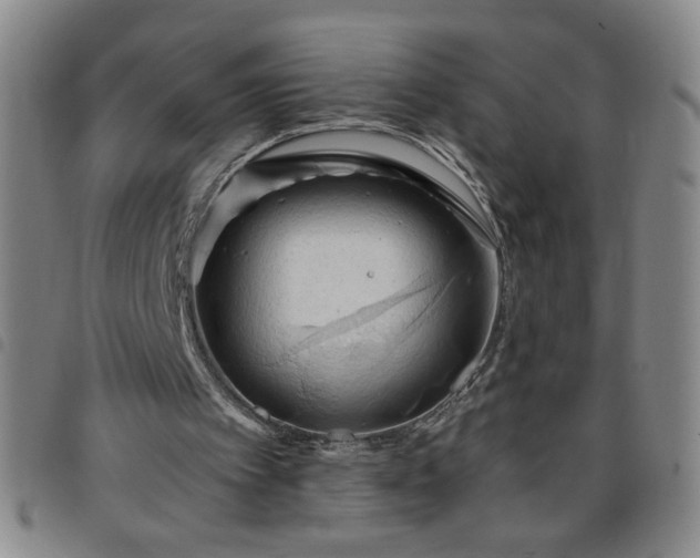 X0000098130097200804241700