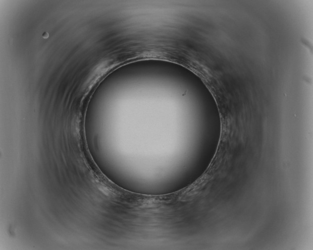 X0000098130098200804241700