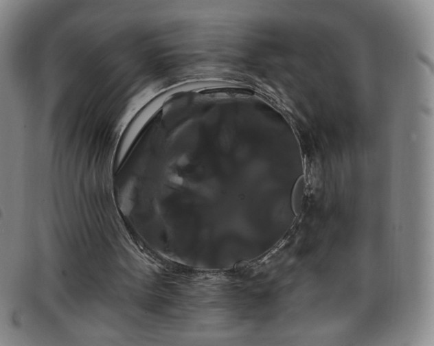 X0000098130099200804241659