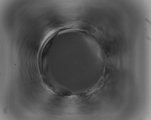 X0000098130100200804241659