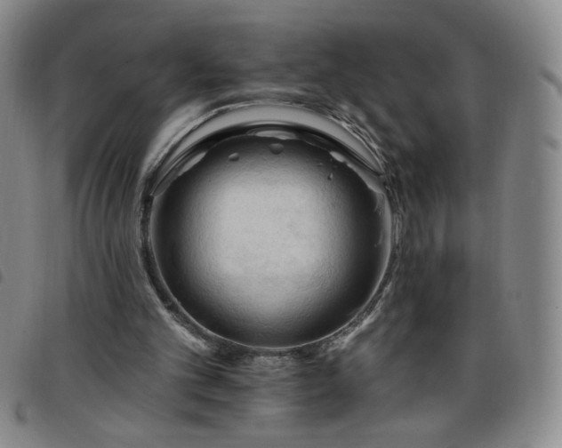 X0000098130101200804241659