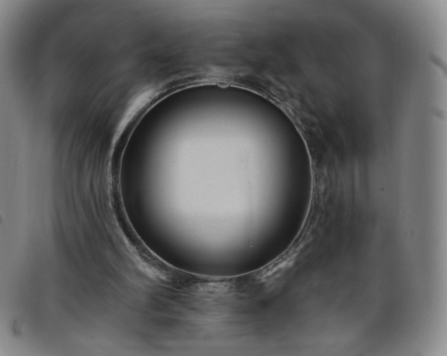 X0000098130102200804241659