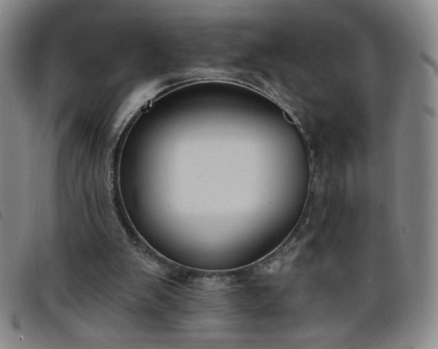 X0000098130103200804241659