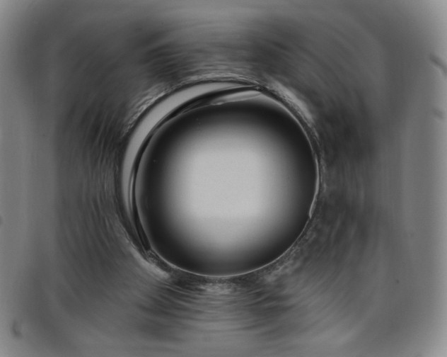 X0000098130105200804241659
