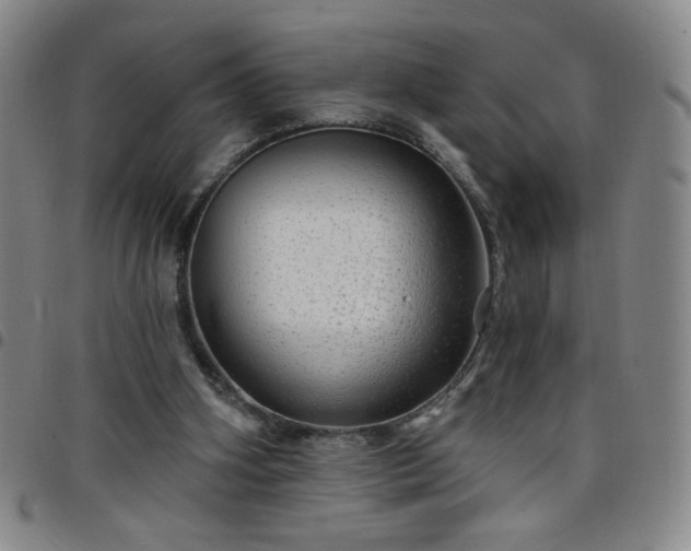 X0000098130106200804241659