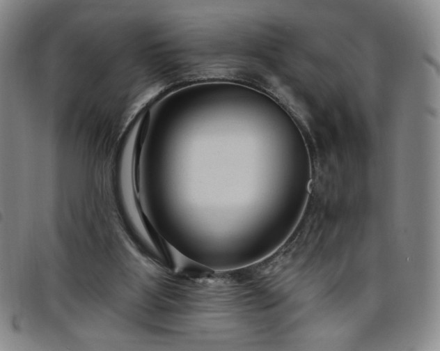 X0000098130107200804241659