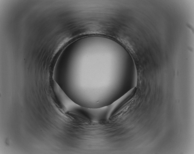 X0000098130108200804241659
