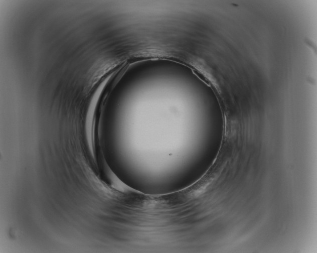 X0000098130109200804241659