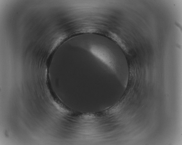 X0000098130110200804241659