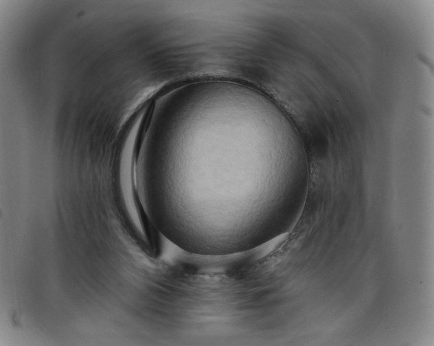 X0000098130112200804241659