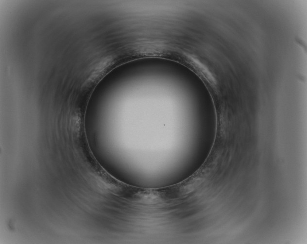 X0000098130113200804241659