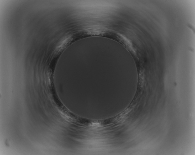 X0000098130114200804241659