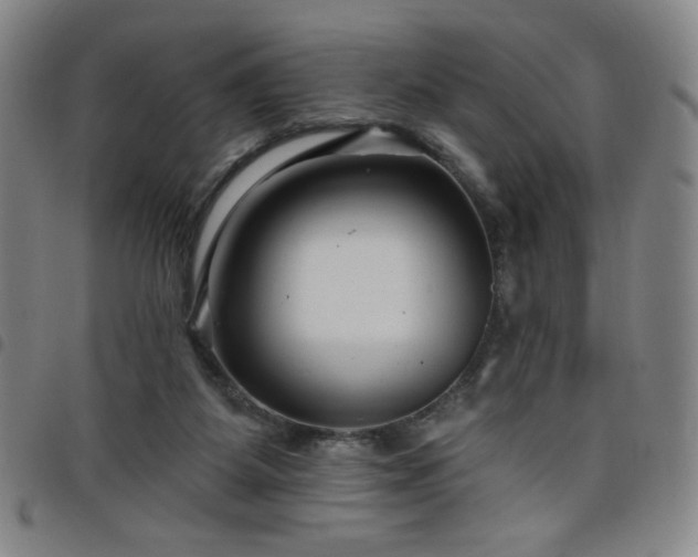 X0000098130115200804241659