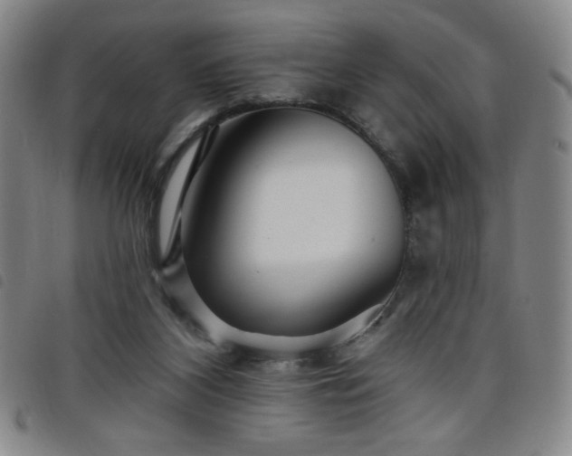 X0000098130116200804241659
