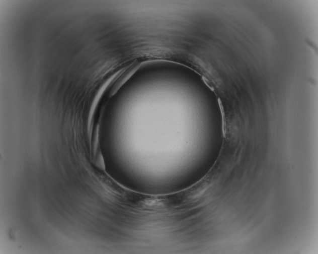 X0000098130117200804241659