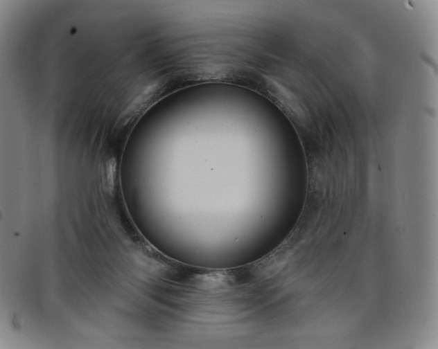 X0000098130118200804241659