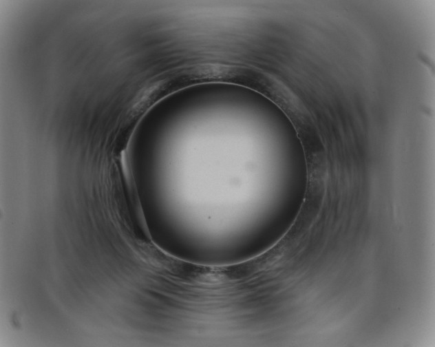 X0000098130119200804241659