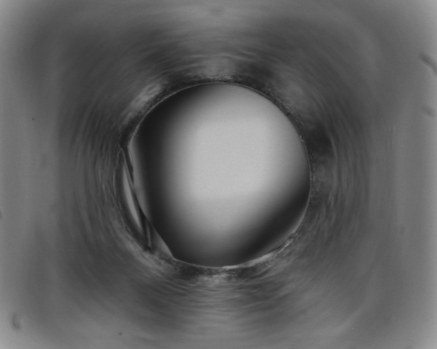X0000098130120200804241659
