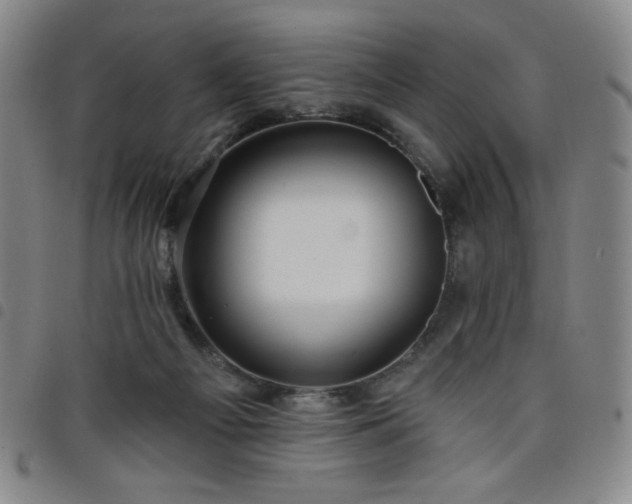 X0000098130121200804241659