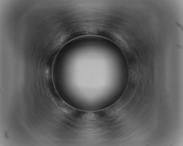 X0000098130123200804241659