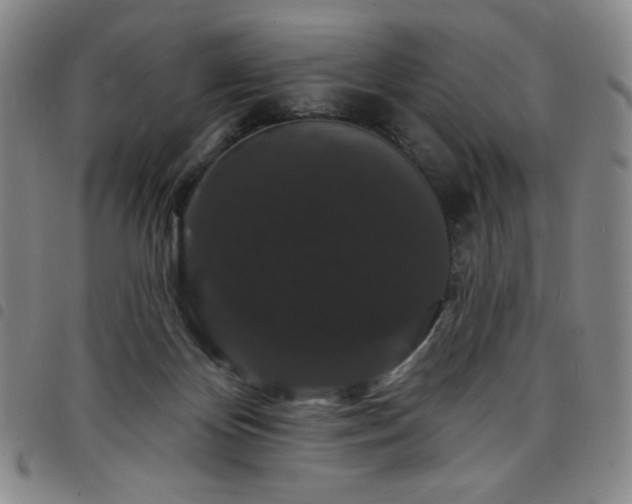X0000098130124200804241659