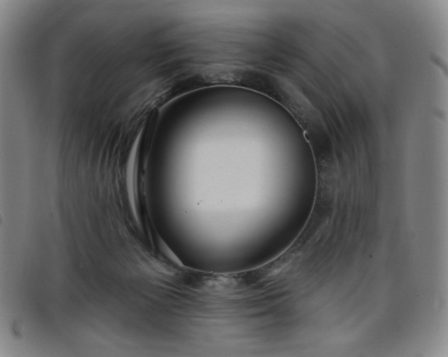 X0000098130125200804241659