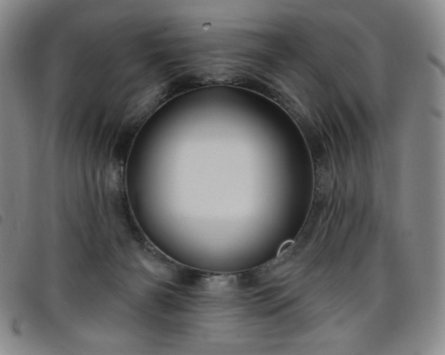 X0000098130126200804241659
