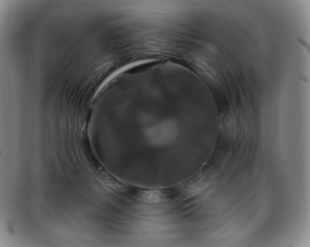X0000098130127200804241659