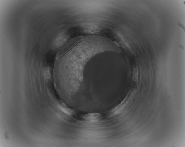 X0000098130128200804241659