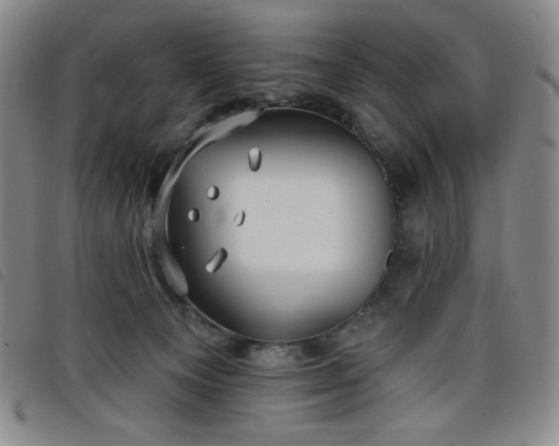 X0000098130129200804241659