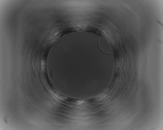 X0000098130130200804241659