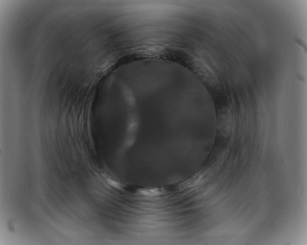 X0000098130131200804241659
