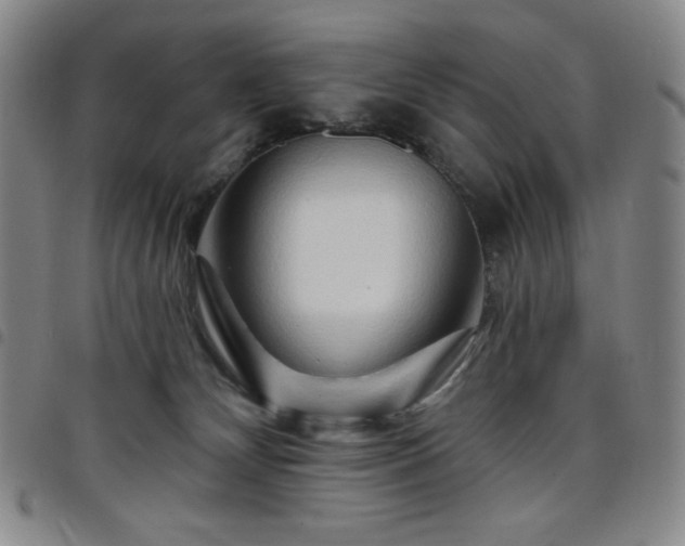 X0000098130132200804241659