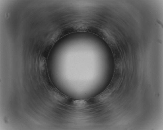 X0000098130133200804241659