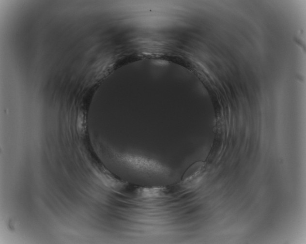 X0000098130134200804241659