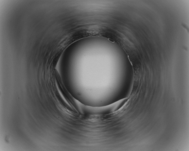 X0000098130136200804241659