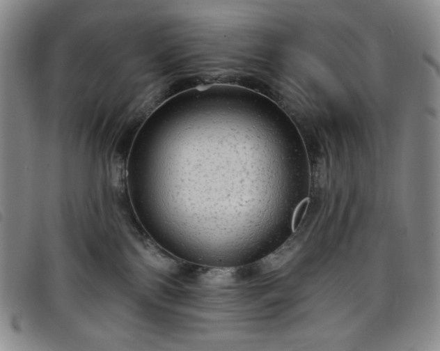 X0000098130138200804241659