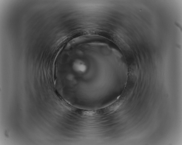 X0000098130139200804241659