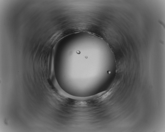 X0000098130140200804241659