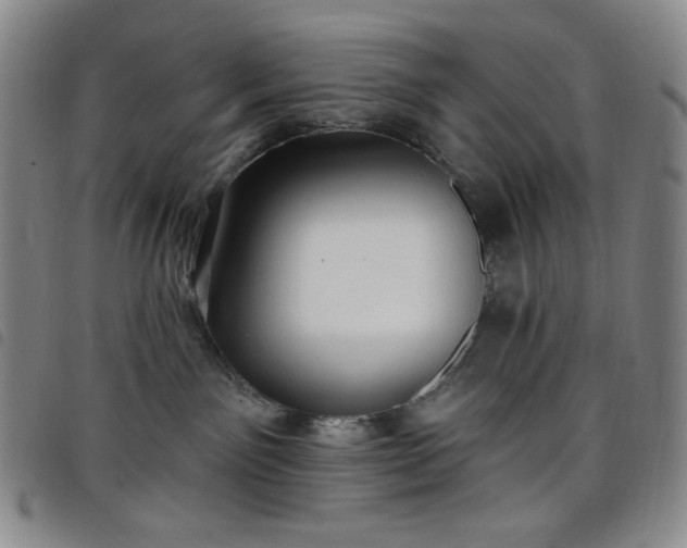 X0000098130141200804241659