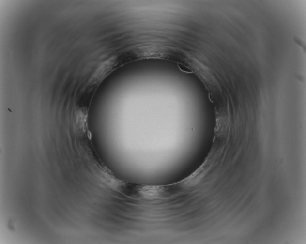 X0000098130142200804241659
