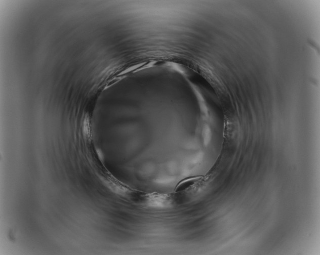 X0000098130143200804241659