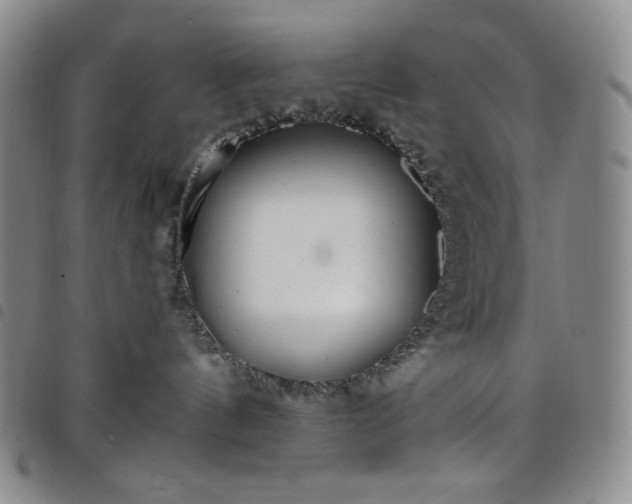 X0000098130144200804241659