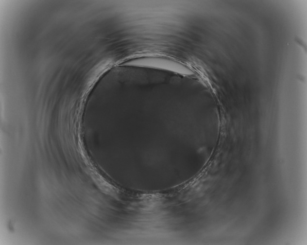 X0000098130145200804241658