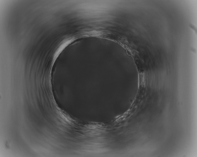X0000098130147200804241658